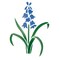 Bluebell Wall Stencil | 1308 by Designer Stencils | Floral Stencils | Reusable Art Craft Stencils for Painting on Walls, Canvas, Wood | Reusable Plastic Paint Stencil for Home Makeover | Easy to Use & Clean Art Stencil
